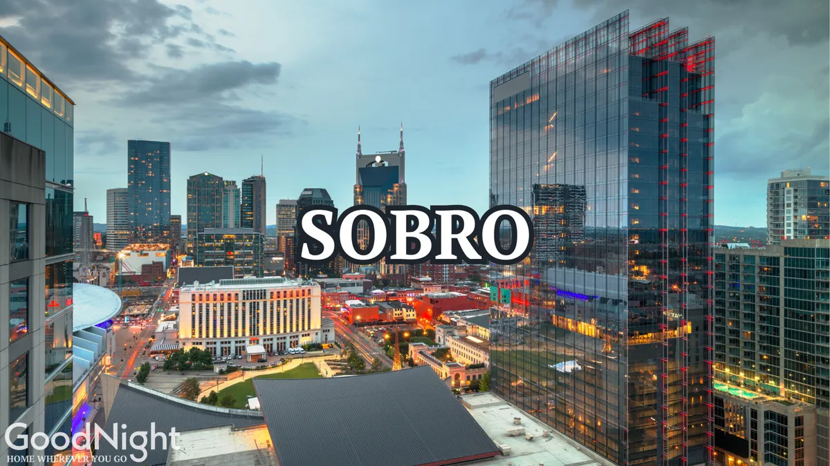 A panoramic view of Nashville’s urban landscape at dusk, featuring skyscrapers, city lights reflecting on the river, and a dynamic city atmosphere. The scene hints at rooftop experiences and the cosmopolitan vibe of downtown evenings.